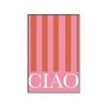 Picture of Ciao Stripes in Pink _GroupedProduct_Rectangle_Portrait_Canvas_Framed_