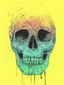 Picture of Street Art Skull _GroupedProduct_Rectangle_Portrait_Unframed_Print_Only_