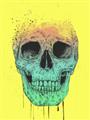 Picture of Street Art Skull _GroupedProduct_Rectangle_Portrait_Unframed_Print_Only_