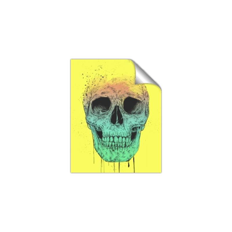 Picture of Street Art Skull _GroupedProduct_Rectangle_Portrait_Unframed_Print_Only_