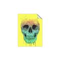 Picture of Street Art Skull _GroupedProduct_Rectangle_Portrait_Unframed_Print_Only_