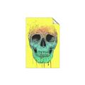 Picture of Street Art Skull _GroupedProduct_Rectangle_Portrait_Unframed_Print_Only_