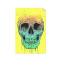 Picture of Street Art Skull _GroupedProduct_Rectangle_Portrait_Unframed_Print_Only_