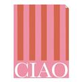Picture of Ciao Stripes in Pink _GroupedProduct_Rectangle_Portrait_Unframed_Print_Only_