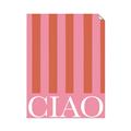 Picture of Ciao Stripes in Pink _GroupedProduct_Rectangle_Portrait_Unframed_Print_Only_