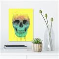Picture of Street Art Skull _GroupedProduct_Rectangle_Portrait_Canvas_