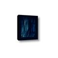 Picture of Midnight Reverie I _GroupedProduct_Rectangle_Portrait_Canvas_