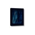 Picture of Midnight Reverie I _GroupedProduct_Rectangle_Portrait_Canvas_