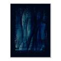 Picture of Midnight Reverie I _GroupedProduct_Rectangle_Portrait_Canvas_Framed_