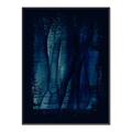 Picture of Midnight Reverie I _GroupedProduct_Rectangle_Portrait_Canvas_Framed_