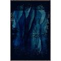 Picture of Midnight Reverie II _GroupedProduct_Rectangle_Portrait_Canvas_Framed_