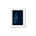 Picture of Midnight Reverie I _GroupedProduct_Rectangle_Portrait_Framed_Matted_