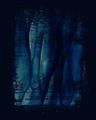 Picture of Midnight Reverie I _GroupedProduct_Rectangle_Portrait_Unframed_Print_Only_