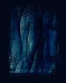 Picture of Midnight Reverie I _GroupedProduct_Rectangle_Portrait_Unframed_Print_Only_