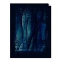 Picture of Midnight Reverie I _GroupedProduct_Rectangle_Portrait_Unframed_Print_Only_
