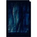 Picture of Midnight Reverie I _GroupedProduct_Rectangle_Portrait_Unframed_Print_Only_