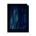 Picture of Midnight Reverie I _GroupedProduct_Rectangle_Portrait_Unframed_Print_Only_