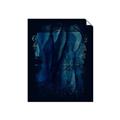 Picture of Midnight Reverie II _GroupedProduct_Rectangle_Portrait_Unframed_Print_Only_
