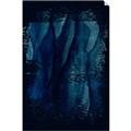 Picture of Midnight Reverie II _GroupedProduct_Rectangle_Portrait_Unframed_Print_Only_