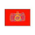 Picture of Luminous Snapshot _GroupedProduct_Rectangle_Landscape_Canvas_Framed_
