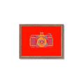 Picture of Luminous Snapshot _GroupedProduct_Rectangle_Landscape_Framed_Matted_