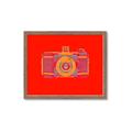 Picture of Luminous Snapshot _GroupedProduct_Rectangle_Landscape_Framed_Matted_