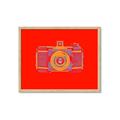 Picture of Luminous Snapshot _GroupedProduct_Rectangle_Landscape_Framed_Matted_
