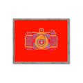 Picture of Luminous Snapshot _GroupedProduct_Rectangle_Landscape_Framed_Matted_
