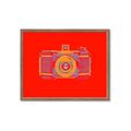 Picture of Luminous Snapshot _GroupedProduct_Rectangle_Landscape_Framed_Matted_