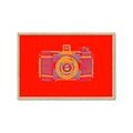 Picture of Luminous Snapshot _GroupedProduct_Rectangle_Landscape_Framed_Matted_