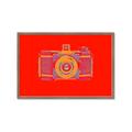 Picture of Luminous Snapshot _GroupedProduct_Rectangle_Landscape_Framed_Matted_