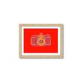 Picture of Luminous Snapshot _GroupedProduct_Rectangle_Landscape_Framed_Matted_