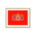 Picture of Luminous Snapshot _GroupedProduct_Rectangle_Landscape_Framed_Matted_