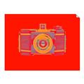 Picture of Luminous Snapshot _GroupedProduct_Rectangle_Landscape_Unframed_Print_Only_