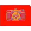 Picture of Luminous Snapshot _GroupedProduct_Rectangle_Landscape_Unframed_Print_Only_
