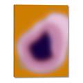 Picture of Auric Essence _GroupedProduct_Rectangle_Portrait_Canvas_
