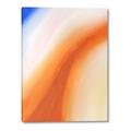 Picture of Twilight Fusion _GroupedProduct_Rectangle_Portrait_Canvas_