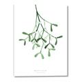 Picture of Under the Mistletoe II _GroupedProduct_Rectangle_Portrait_Canvas_