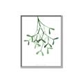 Picture of Under the Mistletoe II _GroupedProduct_Rectangle_Portrait_Canvas_Framed_