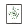 Picture of Under the Mistletoe II _GroupedProduct_Rectangle_Portrait_Canvas_Framed_