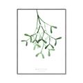 Picture of Under the Mistletoe II _GroupedProduct_Rectangle_Portrait_Canvas_Framed_