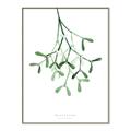 Picture of Under the Mistletoe II _GroupedProduct_Rectangle_Portrait_Canvas_Framed_