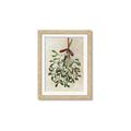 Picture of Under the Mistletoe I _GroupedProduct_Rectangle_Portrait_Framed_Matted_
