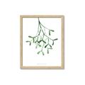 Picture of Under the Mistletoe II _GroupedProduct_Rectangle_Portrait_Framed_Matted_