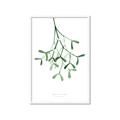 Picture of Under the Mistletoe II _GroupedProduct_Rectangle_Portrait_Framed_Matted_