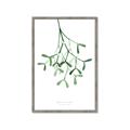 Picture of Under the Mistletoe II _GroupedProduct_Rectangle_Portrait_Framed_Matted_