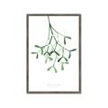 Picture of Under the Mistletoe II _GroupedProduct_Rectangle_Portrait_Framed_Matted_