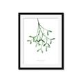 Picture of Under the Mistletoe II _GroupedProduct_Rectangle_Portrait_Framed_Matted_
