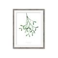 Picture of Under the Mistletoe II _GroupedProduct_Rectangle_Portrait_Framed_Matted_