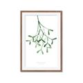 Picture of Under the Mistletoe II _GroupedProduct_Rectangle_Portrait_Framed_Matted_